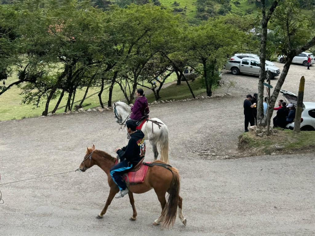 Grupo a caballo en un sendero natural en Girón